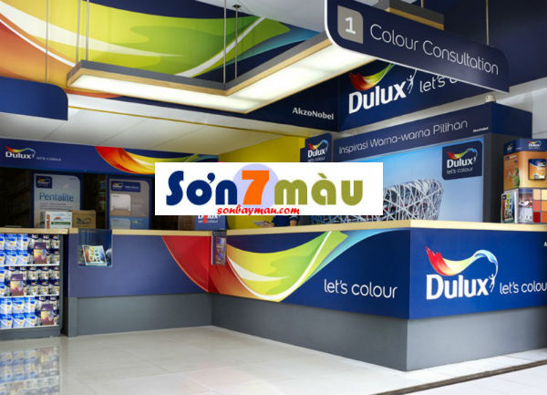 Showroom sơn Dulux ở đâu?