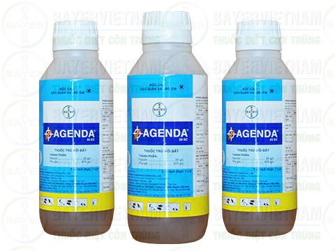 Bán thuốc diệt mối Agenda 25 EC