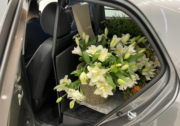 Xe Kia Morning Van là gì? Nên mua Kia Morning Van 2 chỗ không