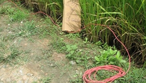 Cách làm bẫy chuột điện an toàn - Khoa học Kỹ thuật