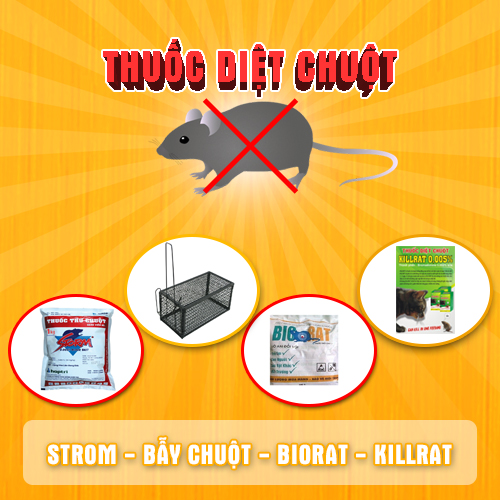 Chuột rất dễ để tiêu diệt - Khoa học Kỹ thuật