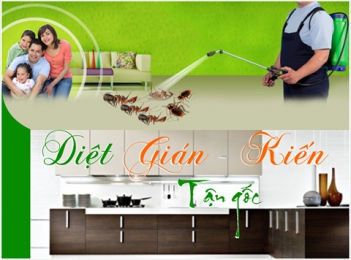 Thuốc diệt côn trùng CisLin 2.5 EC  chuyên diệt mối trong nhà. - Khoa học Kỹ thuật