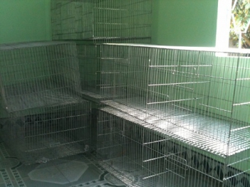 Bắt cá sòng bằng lồng thép dễ thực hiện - Khoa học Kỹ thuật