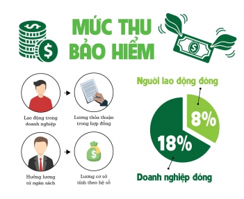 Cá nhân mua bảo hiểm xã hội tự nguyện - Khoa học Kỹ thuật