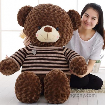 Tại sao con gái thích được tặng quà là gấu bông - Khoa học Kỹ thuật