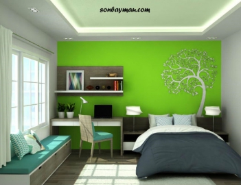 Sơn Dulux màu xanh lá - Khoa học Kỹ thuật