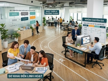 Sự thay đổi vai trò chuyên môn diễn ra theo trưởng thành tổ chức thế nào?