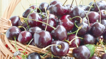 Tác dụng của quả cherry đối với sức khỏe và lưu ý khi sử dụng - Khoa học Kỹ thuật
