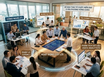 Vai trò chuyên môn hỗ trợ đóng góp cho tổ chức thế nào?