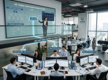 Phân biệt vai trò quản lý và thực thi trong tổ chức